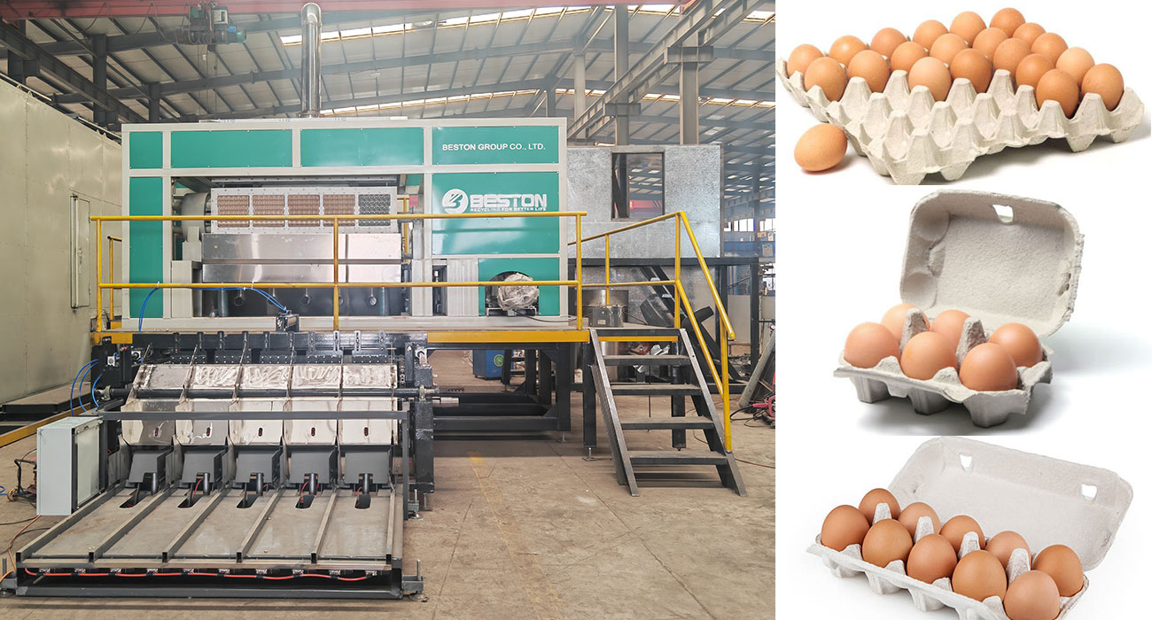 Invest in Beston Egg Tray Machine and Make Paper Egg Trays