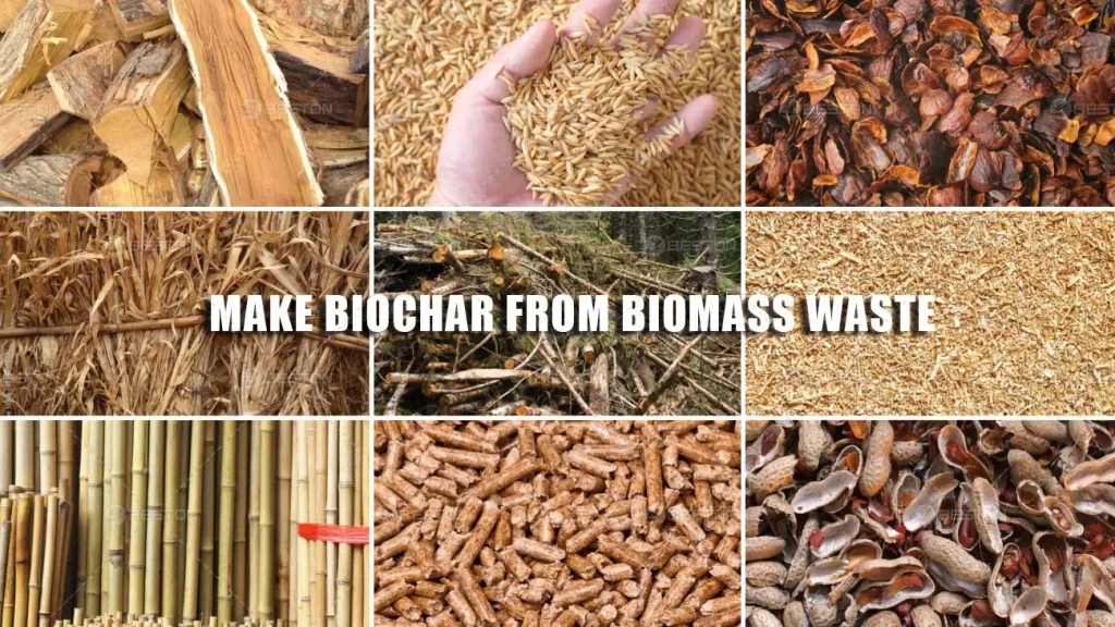 Biomass